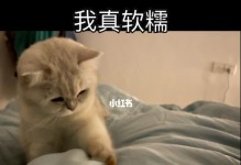 软软猫咪合成攻略——打造最强可爱萌宠（拥抱软软猫咪世界，合成出你的专属宠物小伙伴！）