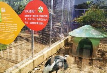 探秘动物公园攻略之树与自然之美（发现动物公园中的神奇树木及其生态系统）