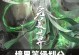 完美世界手游攻略仙界（探索仙界，成就不朽之道）