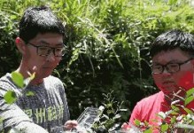 《解密浅塘200关攻略》（成为浅塘大师的关键是什么？）