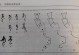 鳄鱼全装备与铭文攻略（鳄鱼出装铭文攻略，助你成为最强恶鳄！）