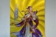 《以小浣熊百将传手游连招攻略》（掌握连招技巧，战无不胜！）
