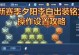 《张大仙职业铭文出装攻略》（掌握关键铭文，成就职业巅峰！）