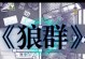 狼群手游攻略（战无不胜，决战狼群！）