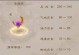 问道手游2021宠物攻略（打造最强宠物阵容，征战无尽世界）