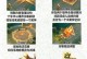 《另类女娲出装攻略大全》（探索独特出装方案，释放女娲真正的力量）