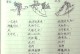 李信国际出装攻略（揭秘李信国际必备装备，助你称霸战场）