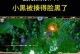 掌握dota攻略出装不显示的技巧（隐藏出装信息，提升游戏技巧的关键）