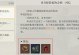 探秘手游黎明之海（细致解析游戏系统、策略与攻略技巧）