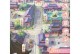 《延禧攻略手游升级攻略大全》（成就玩转王府，征服全明朝！）