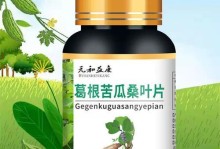 人参辅助出装攻略（挖掘人参潜力，打造无敌装备）